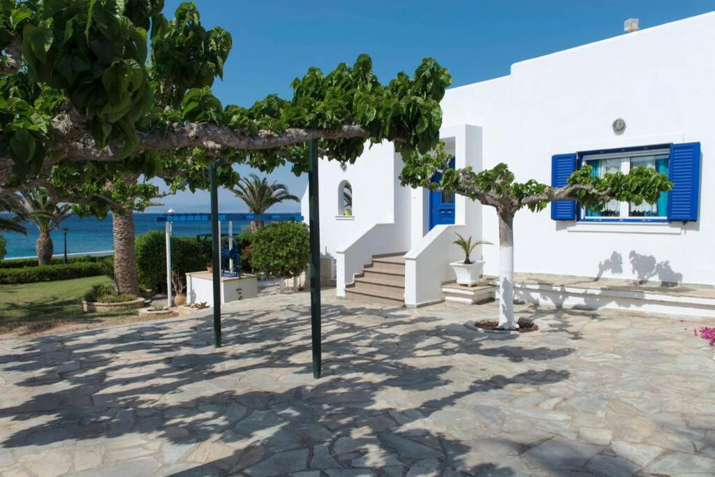 Palmaya Villa, Unique Seafront Experience Vagia  Exteriér fotografie