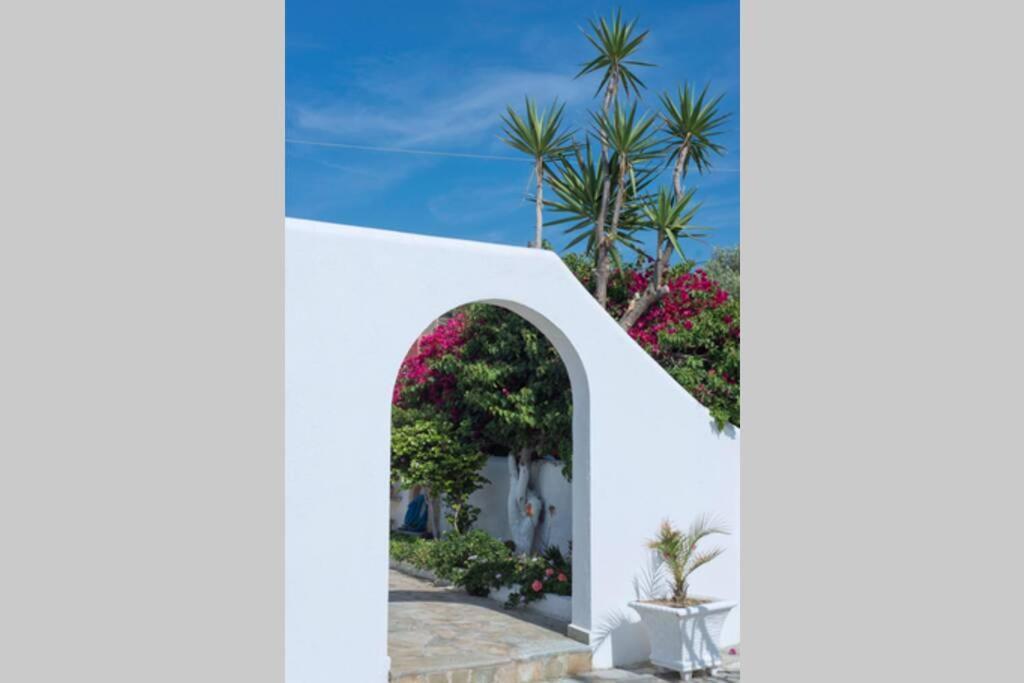 Palmaya Villa, Unique Seafront Experience Vagia  Exteriér fotografie