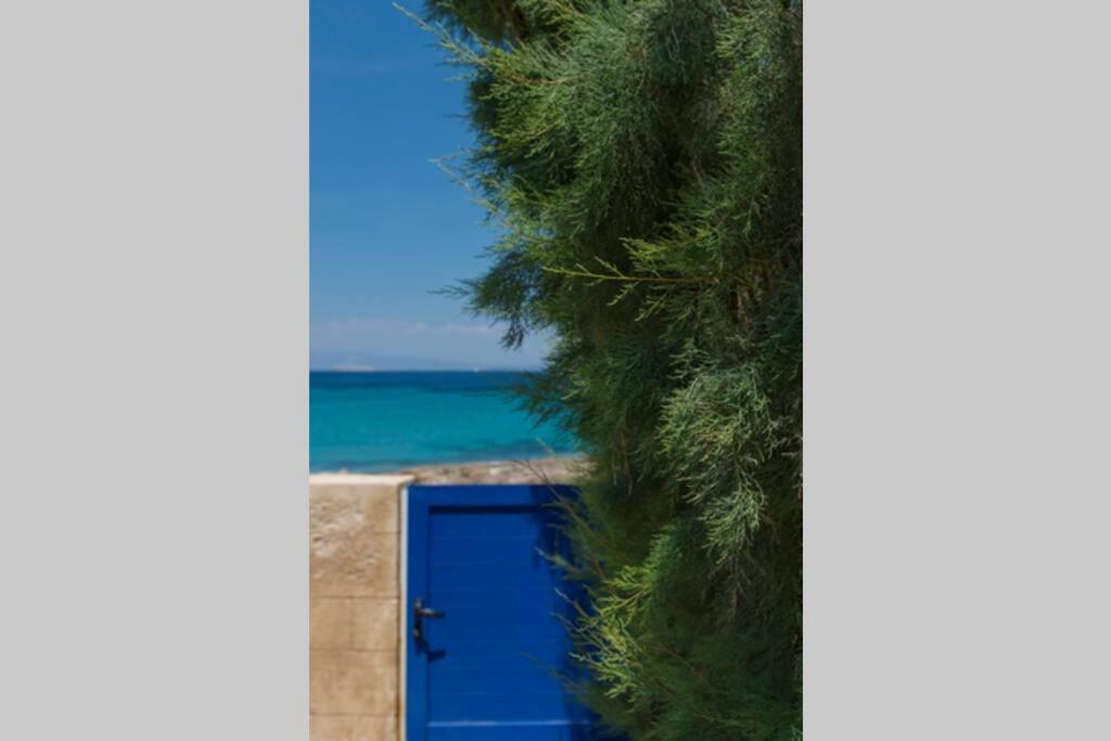 Palmaya Villa, Unique Seafront Experience Vagia  Exteriér fotografie