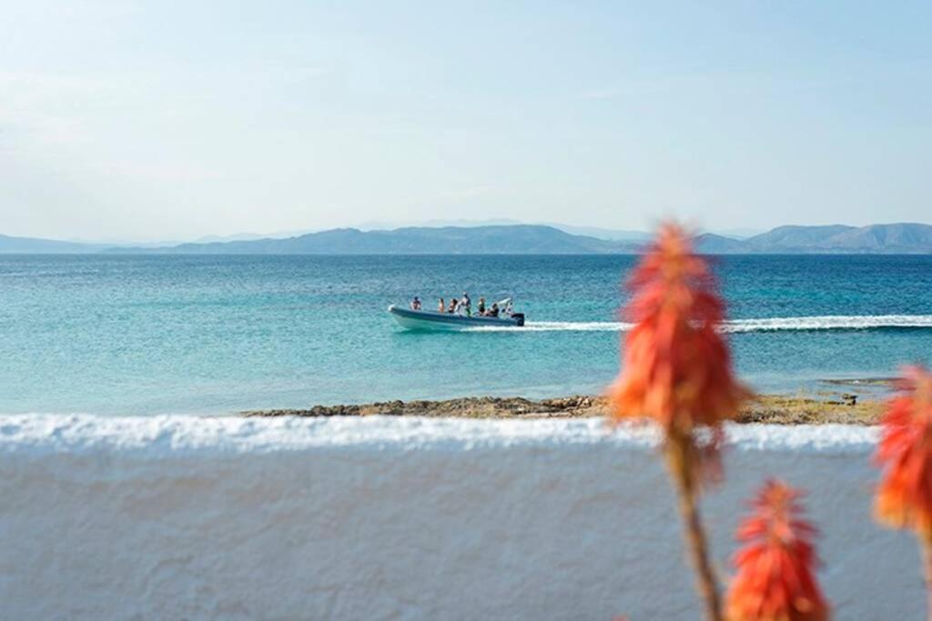 Palmaya Villa, Unique Seafront Experience Vagia  Exteriér fotografie